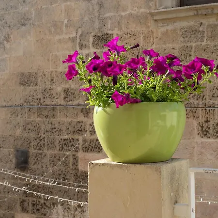 Dimora Con Terrazza Vicino Otranto מורו לצ'זה